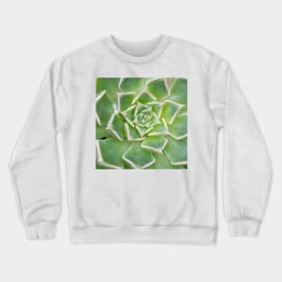 Echeveria Succulent Plant Crewneck Sweatshirt